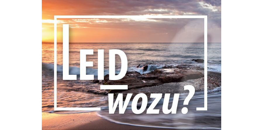 Leid-wozu?