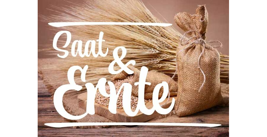 Saat und Ernte