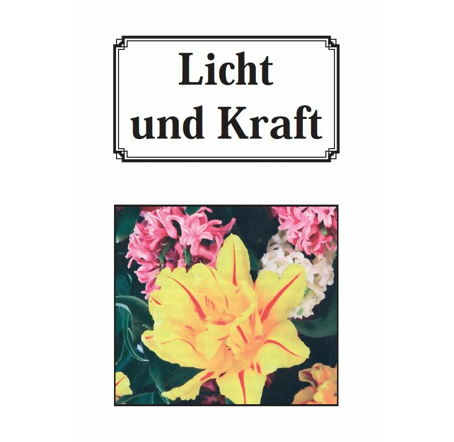 Licht und Kraft